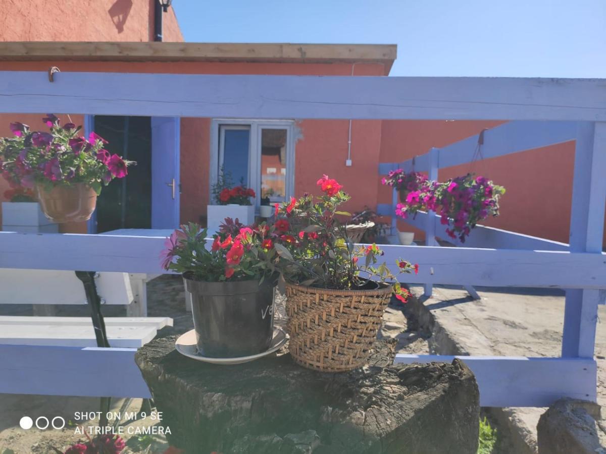 Folwark Malinowy Chrusniak Villa Bisztynek Екстериор снимка