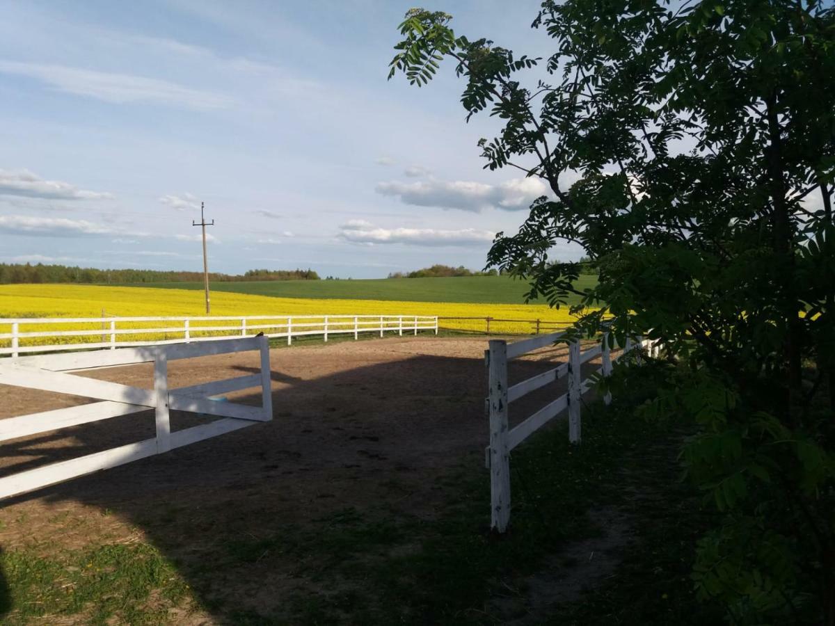 Folwark Malinowy Chrusniak Villa Bisztynek Екстериор снимка